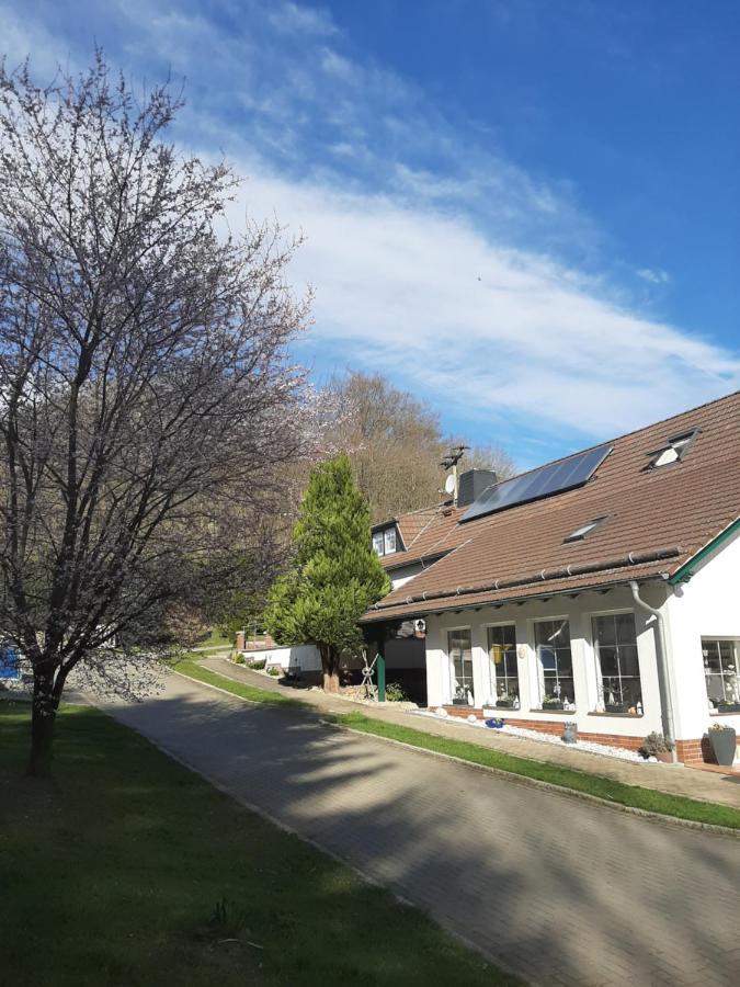 Der Perfekte Ausgangspunkt Lägenhet Konigerode Exteriör bild